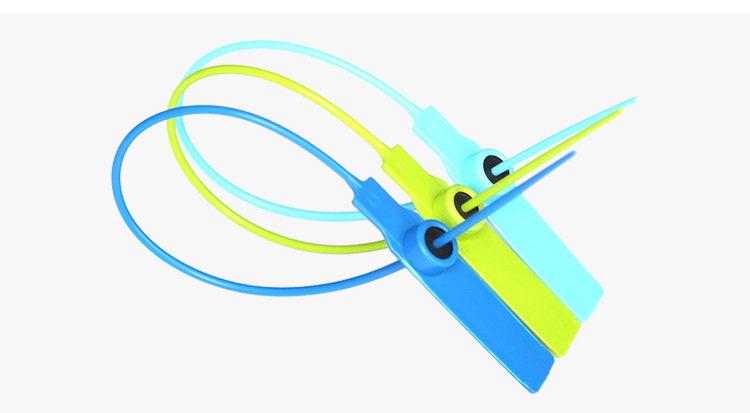 塑(sù)料封條(tiáo)鎖